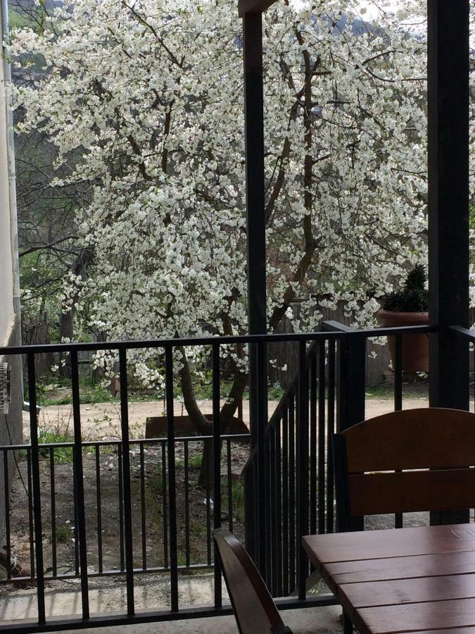 Four Seasons Apartment Sighnaghi Eksteriør billede